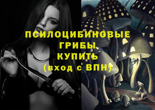 гидра Алзамай