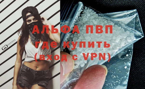 гашик Абаза