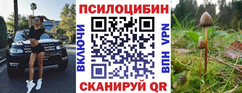 Псилоцибиновые грибы Psilocybine cubensis  Костерёво 